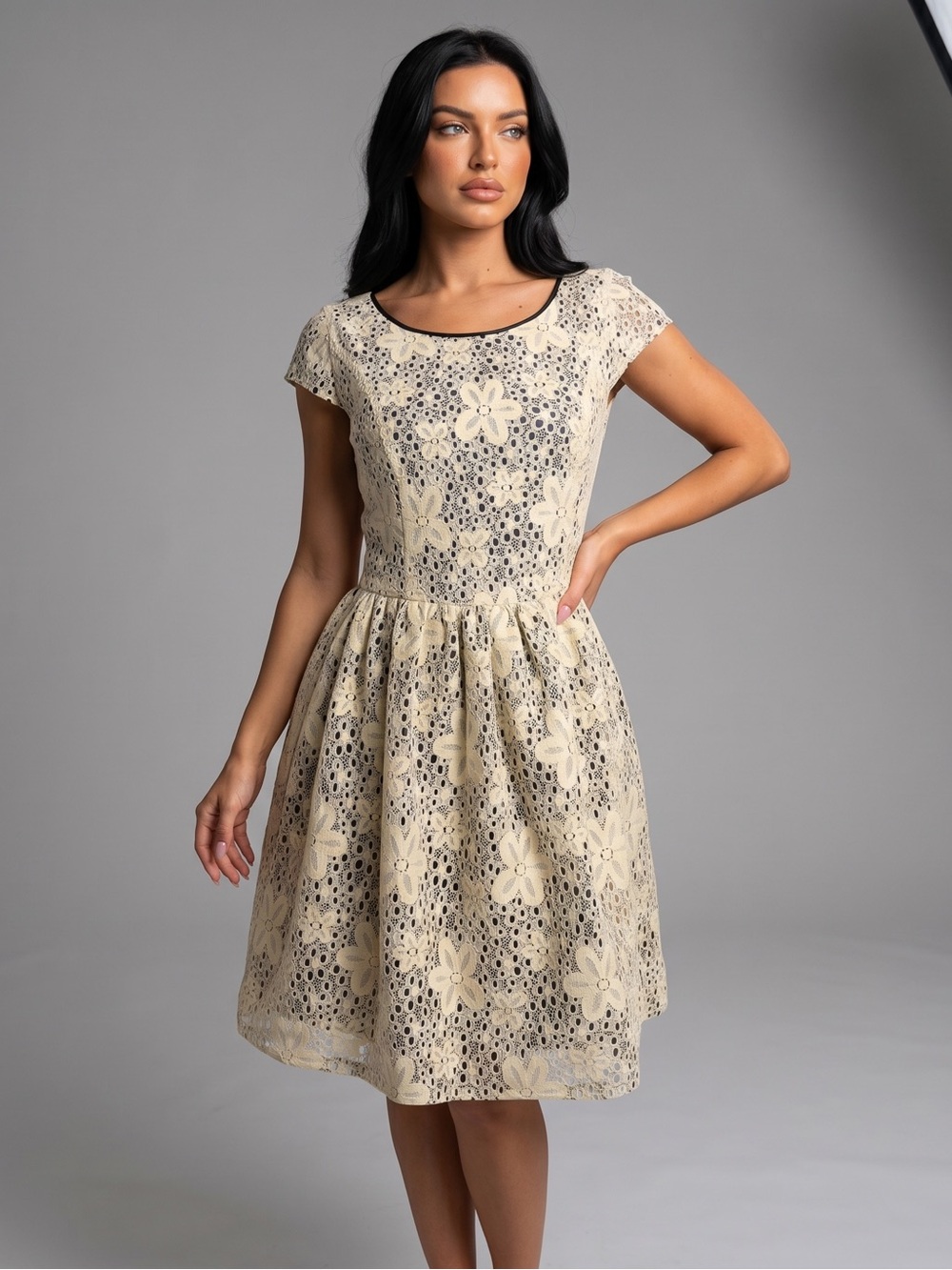 KENSIE Lace Fit and Flare Mini Dress Cream Beige Floral Black Exposed Zipper